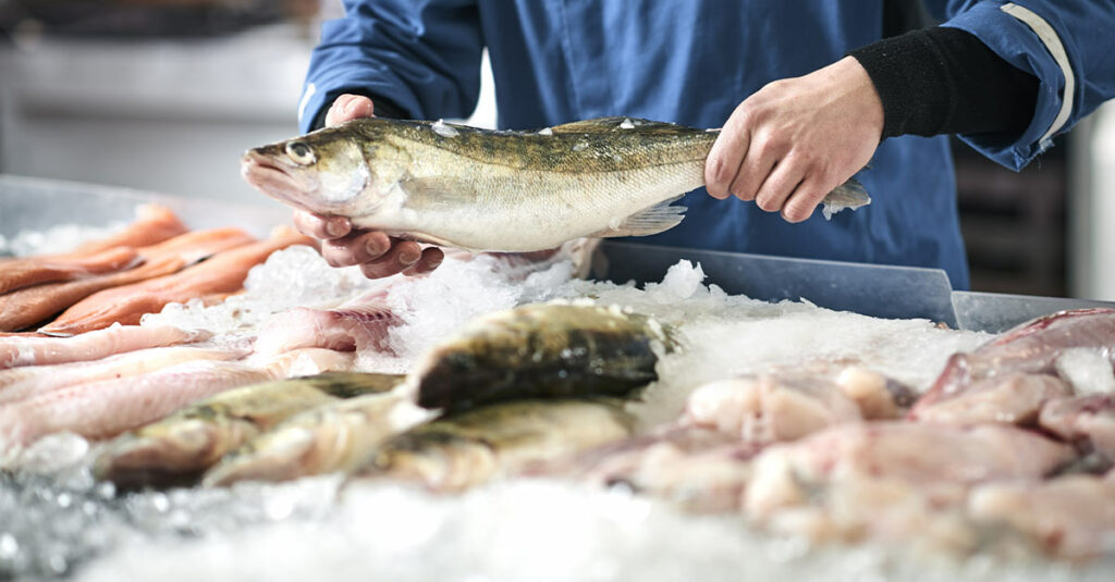 como preservar peixe